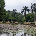 Lake at Sarasabug with lotuses